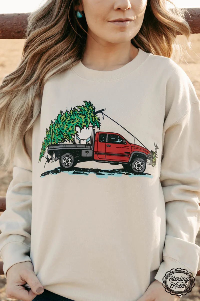 PLUS Cake Wagon Christmas Sweater | shirtandskin