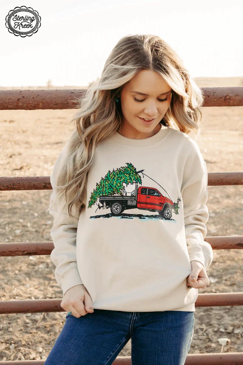 PLUS Cake Wagon Christmas Sweater | shirtandskin